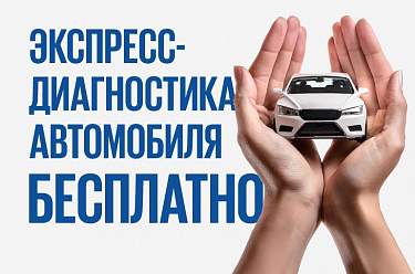 Экспресс диагностика
